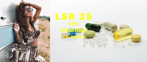 ешки Бородино