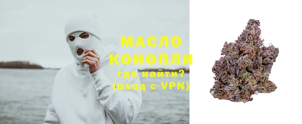 ешки Бородино