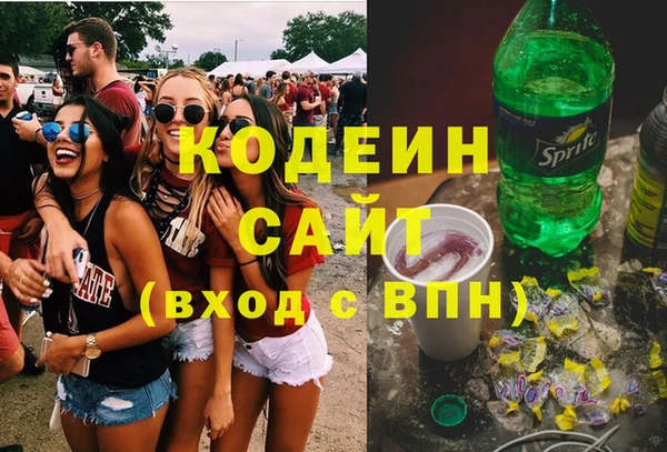ешки Бородино