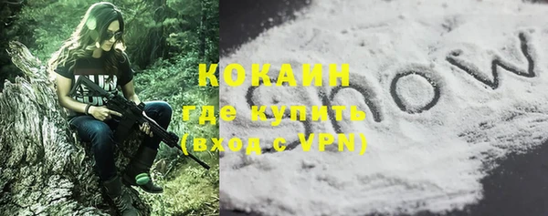 ешки Бородино